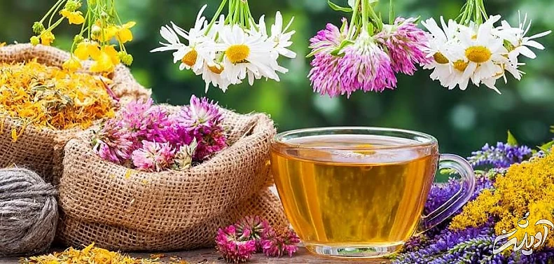 با این دمنوشها سیستم تنفسی خود را تقویت کنید